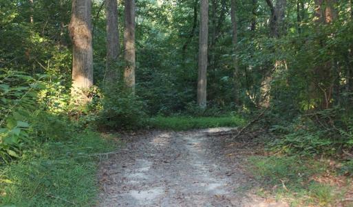 Photo of UNER CONTRACT!  5 Acres of Residential Hunting Land For Sale in Southampton County VA!