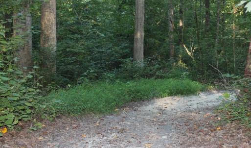Photo of UNER CONTRACT!  5 Acres of Residential Hunting Land For Sale in Southampton County VA!