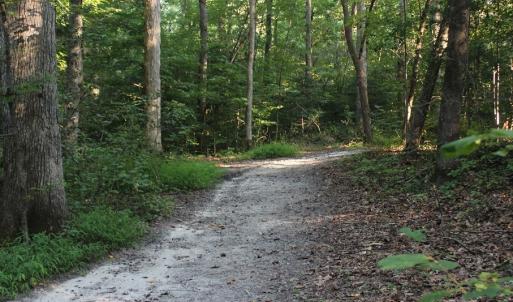 Photo of UNER CONTRACT!  5 Acres of Residential Hunting Land For Sale in Southampton County VA!