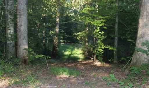 Photo of UNER CONTRACT!  5 Acres of Residential Hunting Land For Sale in Southampton County VA!