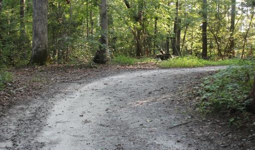 Photo of UNER CONTRACT!  5 Acres of Residential Hunting Land For Sale in Southampton County VA!