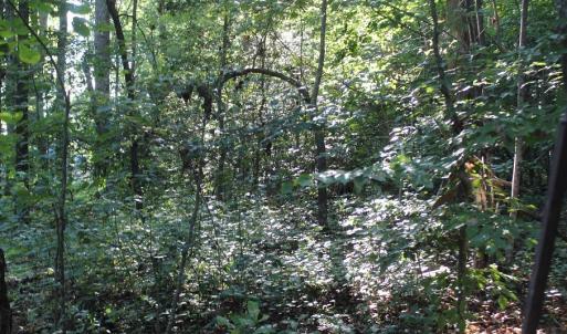 Photo of UNER CONTRACT!  5 Acres of Residential Hunting Land For Sale in Southampton County VA!