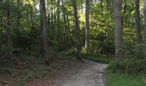 Photo of UNER CONTRACT!  5 Acres of Residential Hunting Land For Sale in Southampton County VA!