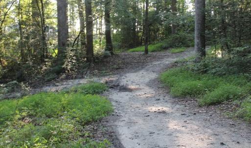 Photo of UNER CONTRACT!  5 Acres of Residential Hunting Land For Sale in Southampton County VA!