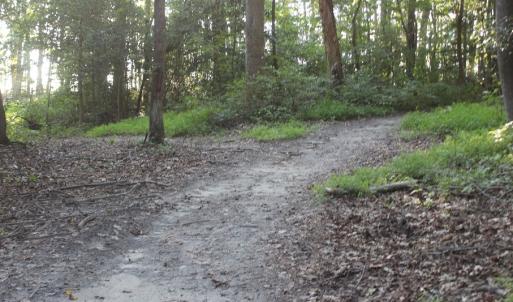 Photo of UNER CONTRACT!  5 Acres of Residential Hunting Land For Sale in Southampton County VA!