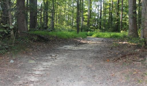 Photo of UNER CONTRACT!  5 Acres of Residential Hunting Land For Sale in Southampton County VA!
