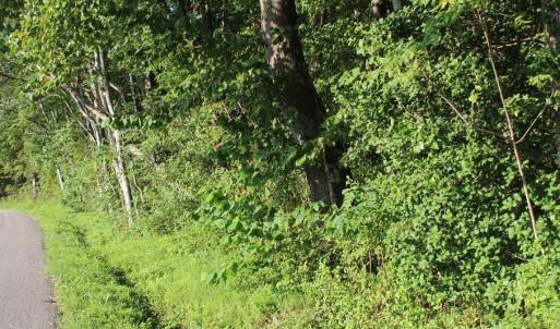 Photo of UNER CONTRACT!  5 Acres of Residential Hunting Land For Sale in Southampton County VA!