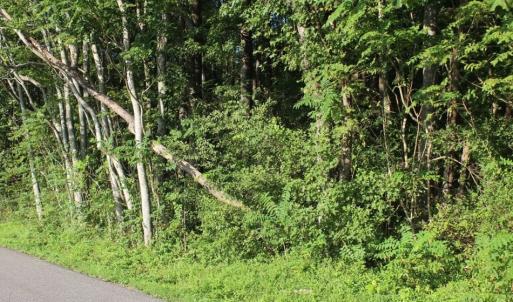 Photo of UNER CONTRACT!  5 Acres of Residential Hunting Land For Sale in Southampton County VA!