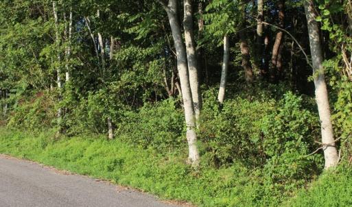 Photo of UNER CONTRACT!  5 Acres of Residential Hunting Land For Sale in Southampton County VA!