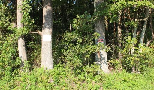 Photo of UNER CONTRACT!  5 Acres of Residential Hunting Land For Sale in Southampton County VA!