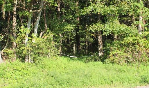 Photo of UNER CONTRACT!  5 Acres of Residential Hunting Land For Sale in Southampton County VA!