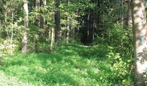 Photo of UNER CONTRACT!  5 Acres of Residential Hunting Land For Sale in Southampton County VA!