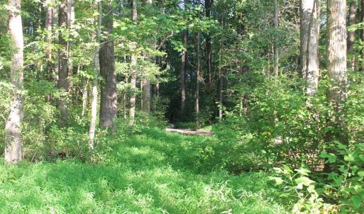 Photo of UNER CONTRACT!  5 Acres of Residential Hunting Land For Sale in Southampton County VA!