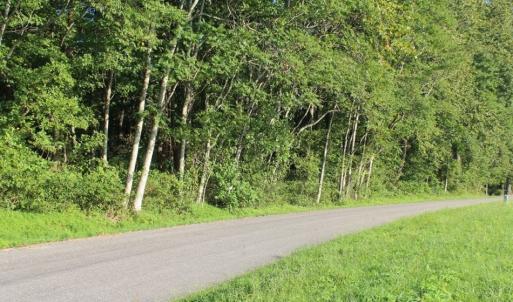 Photo of UNER CONTRACT!  5 Acres of Residential Hunting Land For Sale in Southampton County VA!