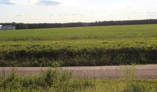 Photo of UNER CONTRACT!  5 Acres of Residential Hunting Land For Sale in Southampton County VA!