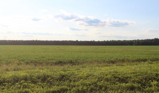 Photo of UNER CONTRACT!  5 Acres of Residential Hunting Land For Sale in Southampton County VA!
