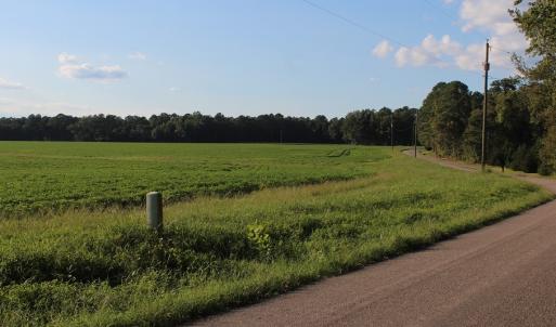 Photo of UNER CONTRACT!  5 Acres of Residential Hunting Land For Sale in Southampton County VA!
