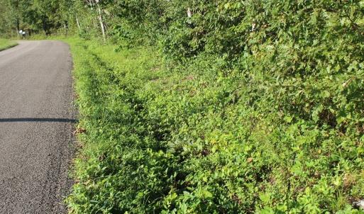 Photo of UNER CONTRACT!  5 Acres of Residential Hunting Land For Sale in Southampton County VA!