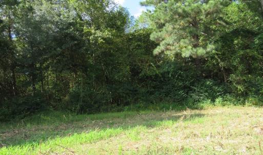 Photo of UNDER CONTRACT!  49.46 Acres of Hunting and Timber Land for Sale in Columbus County NC!