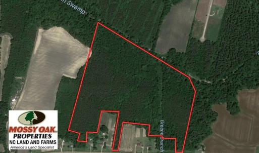 Photo of UNDER CONTRACT!  49.46 Acres of Hunting and Timber Land for Sale in Columbus County NC!