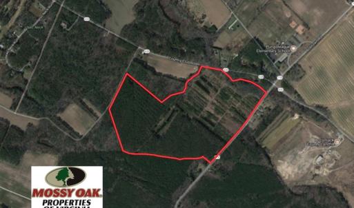 Photo of UNDER CONTRACT!  103 Acres of Hunting and Timber Land for Sale in Accomack County VA!