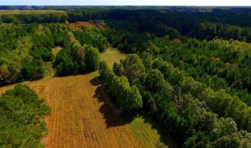 Photo of UNDER CONTRACT!  103 Acres of Hunting and Timber Land for Sale in Accomack County VA!