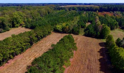 Photo of UNDER CONTRACT!  103 Acres of Hunting and Timber Land for Sale in Accomack County VA!