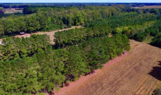 Photo of UNDER CONTRACT!  103 Acres of Hunting and Timber Land for Sale in Accomack County VA!