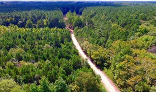 Photo of UNDER CONTRACT!  103 Acres of Hunting and Timber Land for Sale in Accomack County VA!
