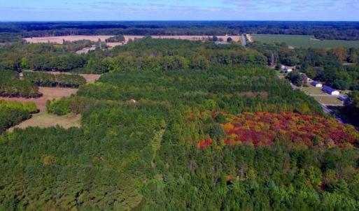 Photo of UNDER CONTRACT!  103 Acres of Hunting and Timber Land for Sale in Accomack County VA!