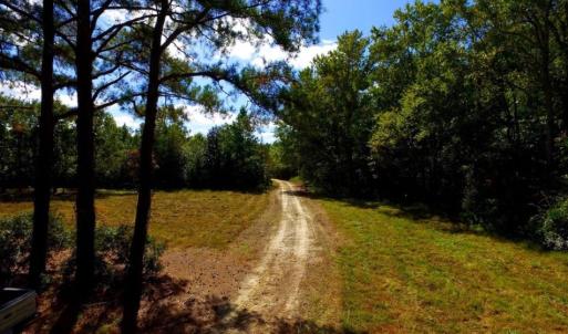 Photo of UNDER CONTRACT!  103 Acres of Hunting and Timber Land for Sale in Accomack County VA!