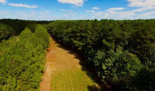 Photo of UNDER CONTRACT!  103 Acres of Hunting and Timber Land for Sale in Accomack County VA!