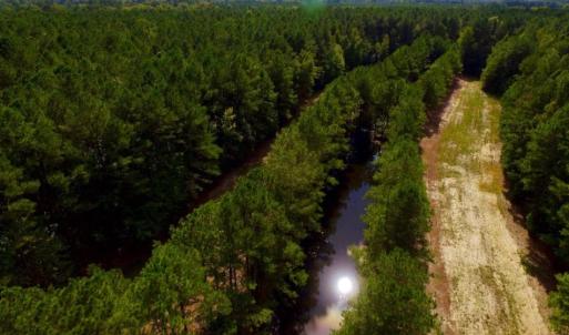 Photo of UNDER CONTRACT!  103 Acres of Hunting and Timber Land for Sale in Accomack County VA!