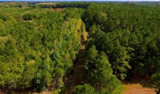 Photo of UNDER CONTRACT!  103 Acres of Hunting and Timber Land for Sale in Accomack County VA!