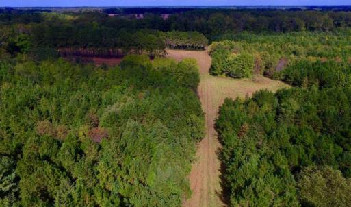 Photo of UNDER CONTRACT!  103 Acres of Hunting and Timber Land for Sale in Accomack County VA!