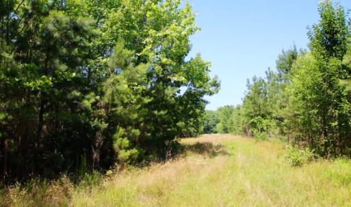 Photo of UNDER CONTRACT!  103 Acres of Hunting and Timber Land for Sale in Accomack County VA!
