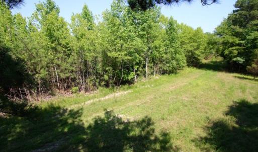Photo of UNDER CONTRACT!  103 Acres of Hunting and Timber Land for Sale in Accomack County VA!