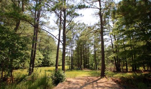 Photo of UNDER CONTRACT!  103 Acres of Hunting and Timber Land for Sale in Accomack County VA!