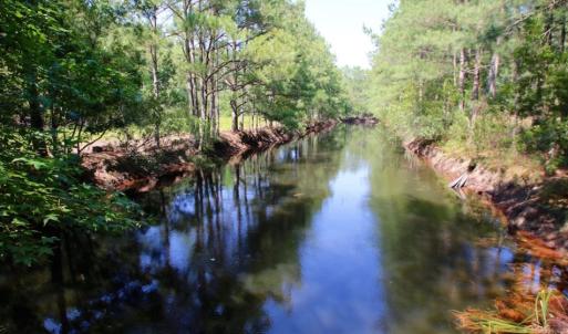 Photo of UNDER CONTRACT!  103 Acres of Hunting and Timber Land for Sale in Accomack County VA!