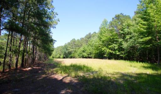 Photo of UNDER CONTRACT!  103 Acres of Hunting and Timber Land for Sale in Accomack County VA!