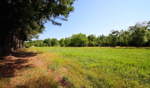 Photo of UNDER CONTRACT!  103 Acres of Hunting and Timber Land for Sale in Accomack County VA!