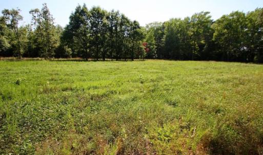 Photo of UNDER CONTRACT!  103 Acres of Hunting and Timber Land for Sale in Accomack County VA!