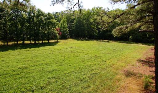 Photo of UNDER CONTRACT!  103 Acres of Hunting and Timber Land for Sale in Accomack County VA!