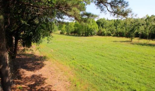 Photo of UNDER CONTRACT!  103 Acres of Hunting and Timber Land for Sale in Accomack County VA!