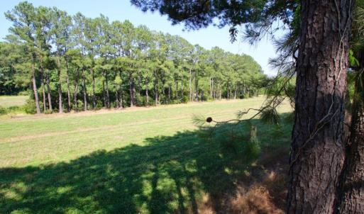 Photo of UNDER CONTRACT!  103 Acres of Hunting and Timber Land for Sale in Accomack County VA!