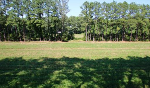 Photo of UNDER CONTRACT!  103 Acres of Hunting and Timber Land for Sale in Accomack County VA!
