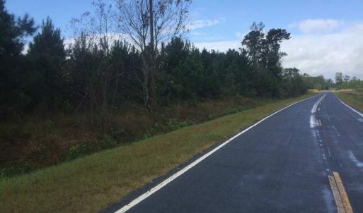 Photo of UNDER CONTRACT!  215 Acres of Prime Hunting Land For Sale in Robeson County NC!