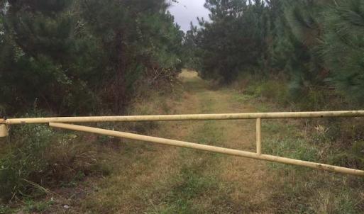 Photo of UNDER CONTRACT!  215 Acres of Prime Hunting Land For Sale in Robeson County NC!