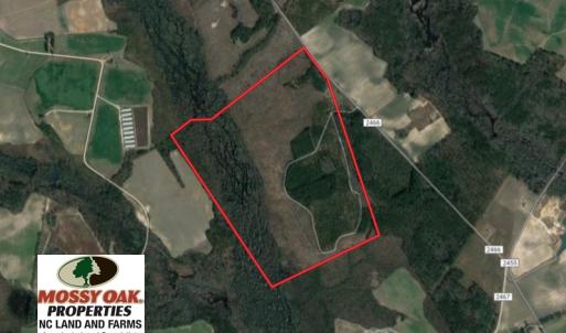 Photo of UNDER CONTRACT!  215 Acres of Prime Hunting Land For Sale in Robeson County NC!