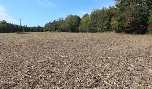Photo of UNDER CONTRACT!  29 Acres of Residential Farm and Hunting Land For Sale in King and Queen County VA!